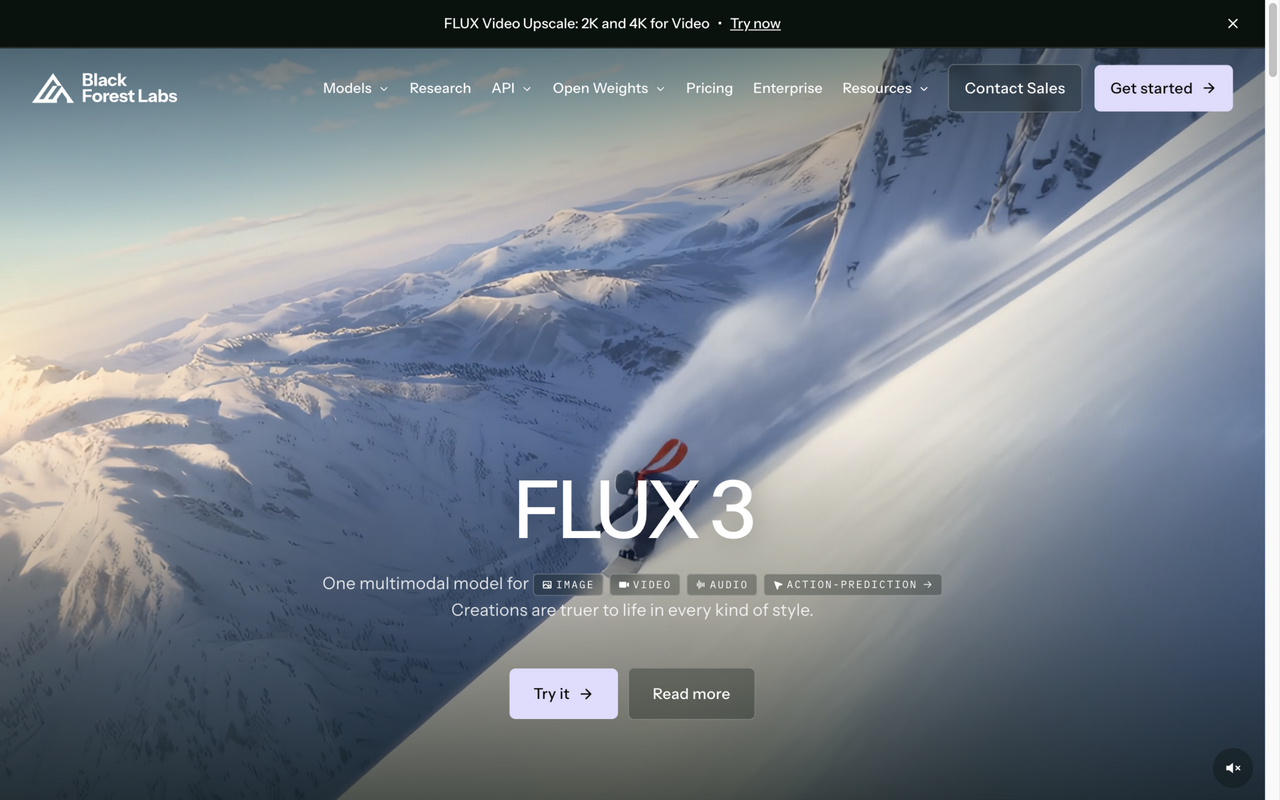 Capture d'écran du site de Black Forest Labs